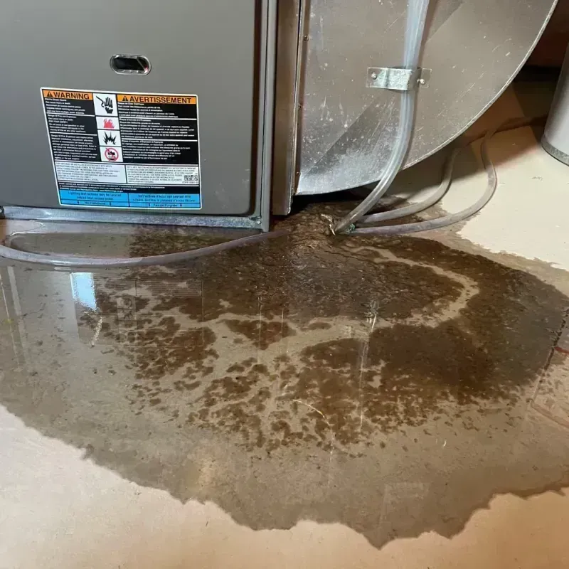 Appliance Leak Cleanup in Sikeston, MO